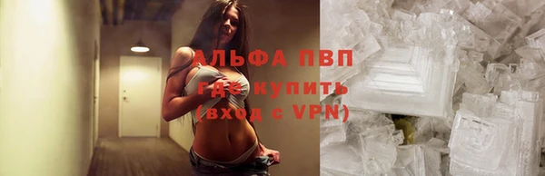 хмурый Каменногорск