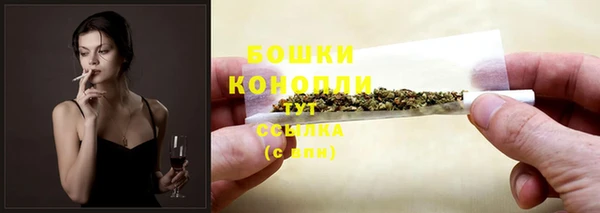 хмурый Каменногорск