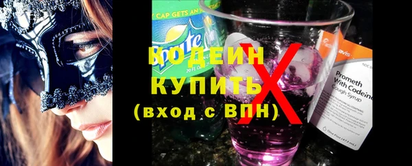 хмурый Каменногорск