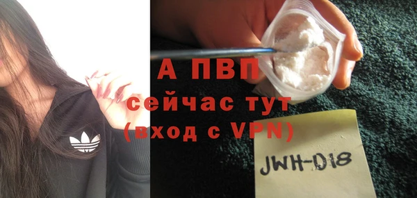 хмурый Каменногорск