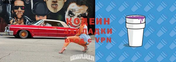 хмурый Каменногорск