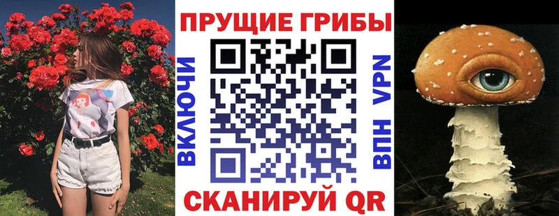 Псилоцибиновые грибы MAGIC MUSHROOMS  Купить где  Вятские Поляны 